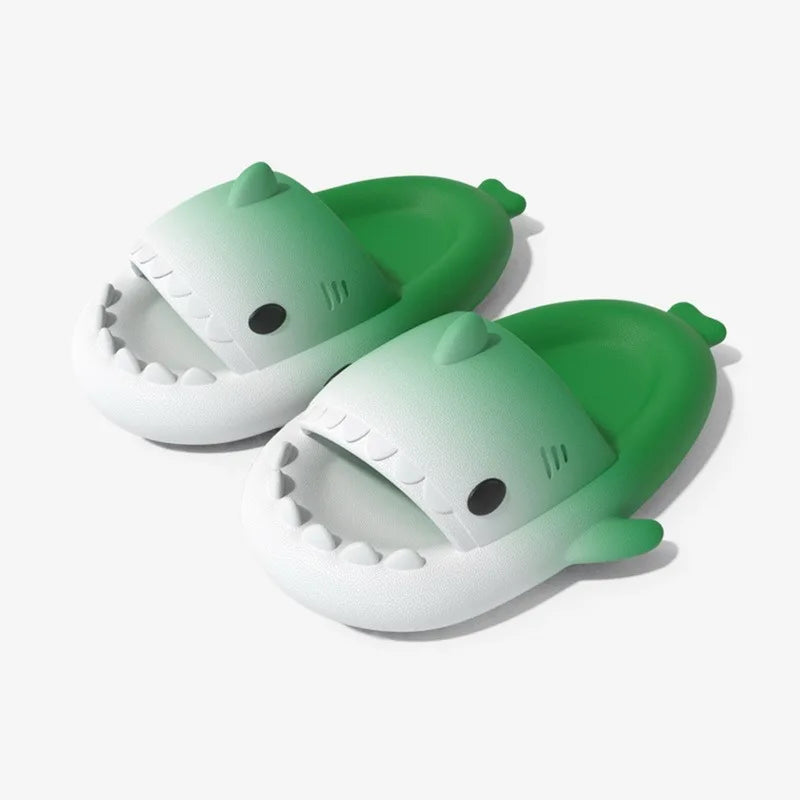 Funny Shark Footwear